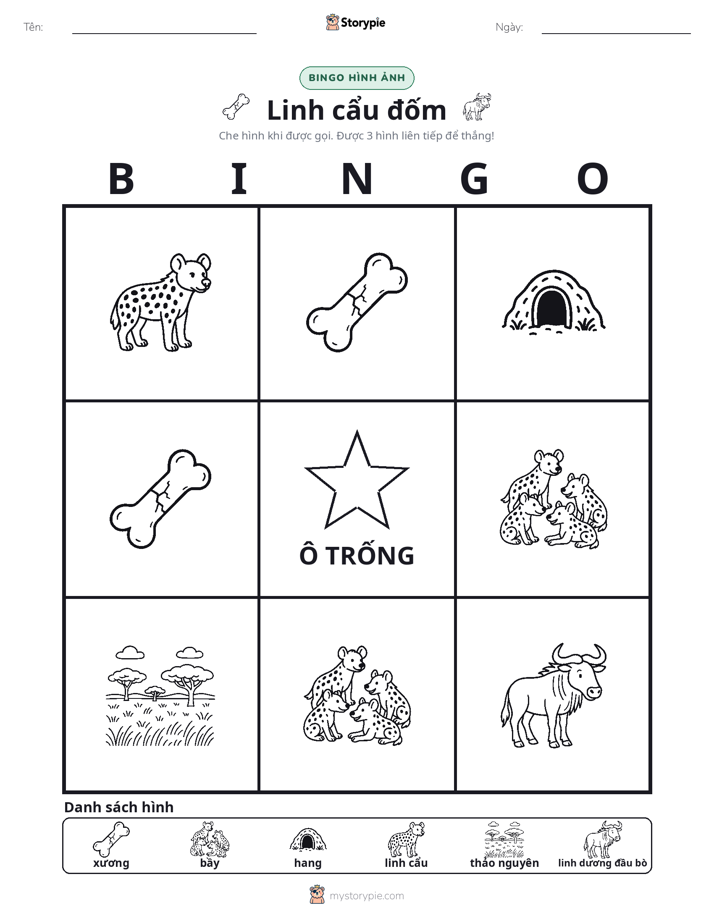 Bingo Hình Ảnh