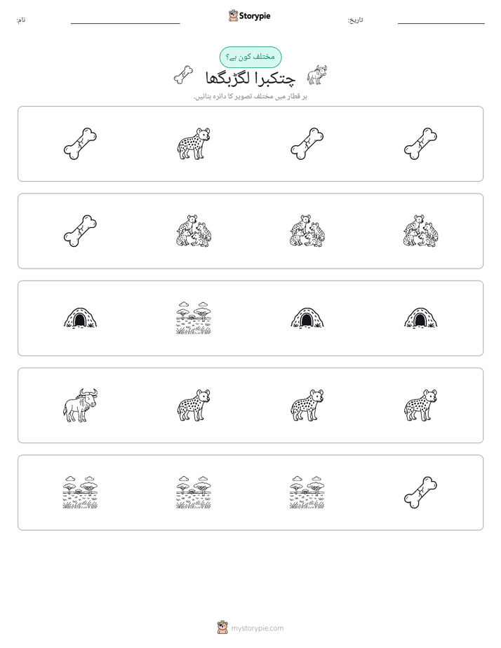 عجیب ایک