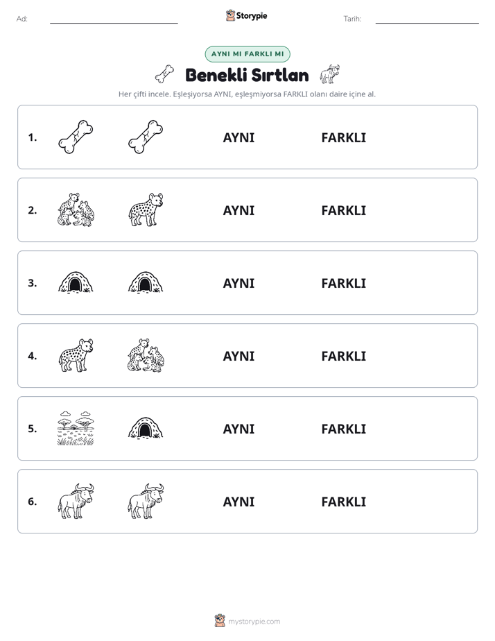 Aynı mı Farklı mı