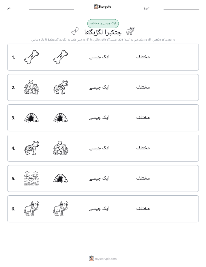 ایک جیسا یا مختلف