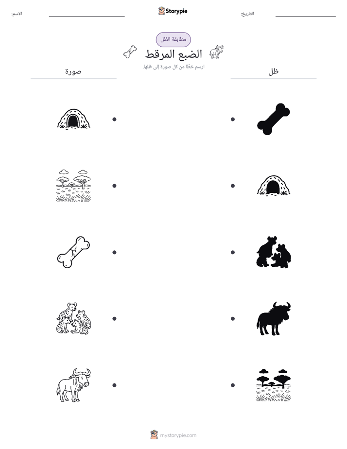 مطابقة الظل