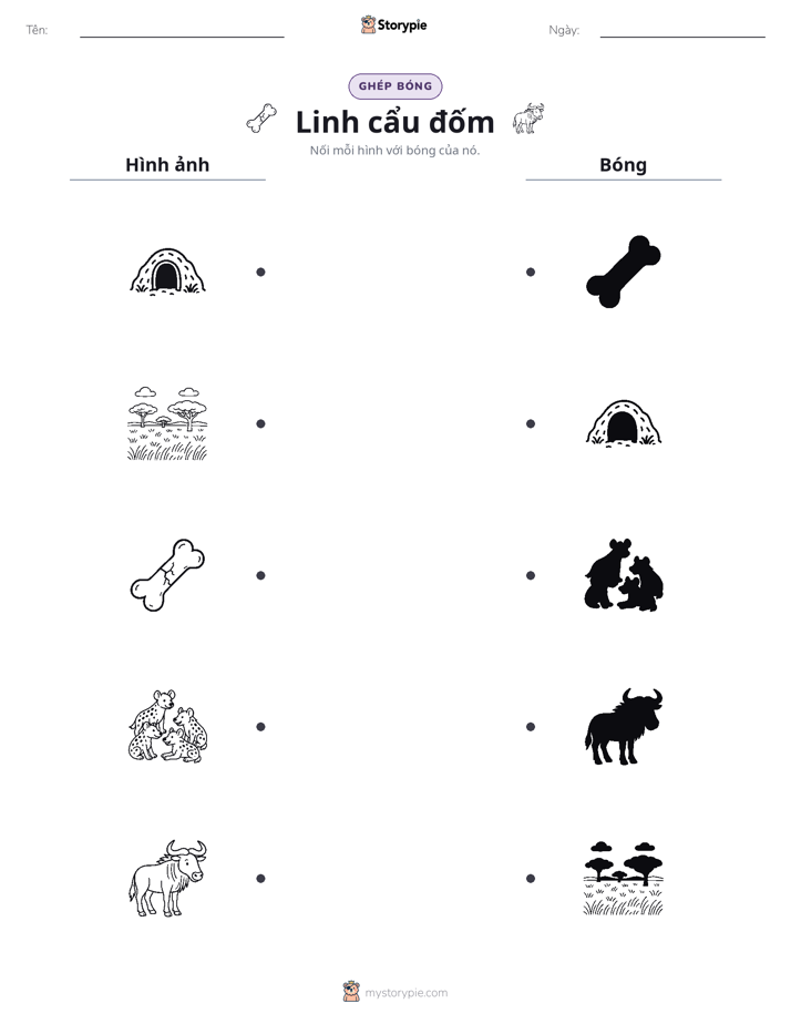 Ghép Hình Bóng