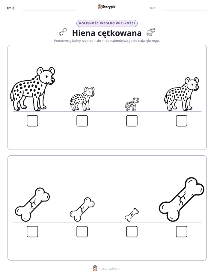 Porządek rozmiarów