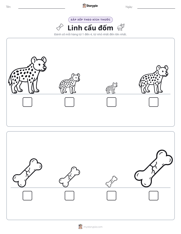 Thứ Tự Kích Thước