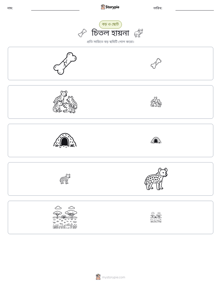 সাজানো