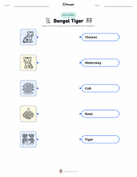 Bengal Tiger printable worksheet for kids