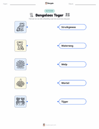 Bengaalse Tijger afdrukbare werkblad voor kinderen