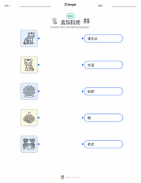 孟加拉虎 可打印工作表，适合儿童