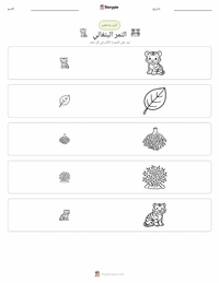 معاينة ورقة العمل القابلة للطباعة النمر البنغالي