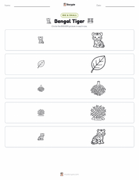 Bengal Tiger printable worksheet preview
