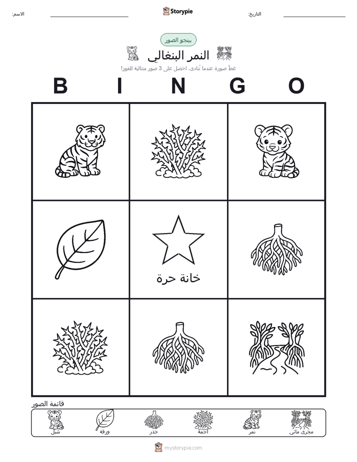 بينغو الصور
