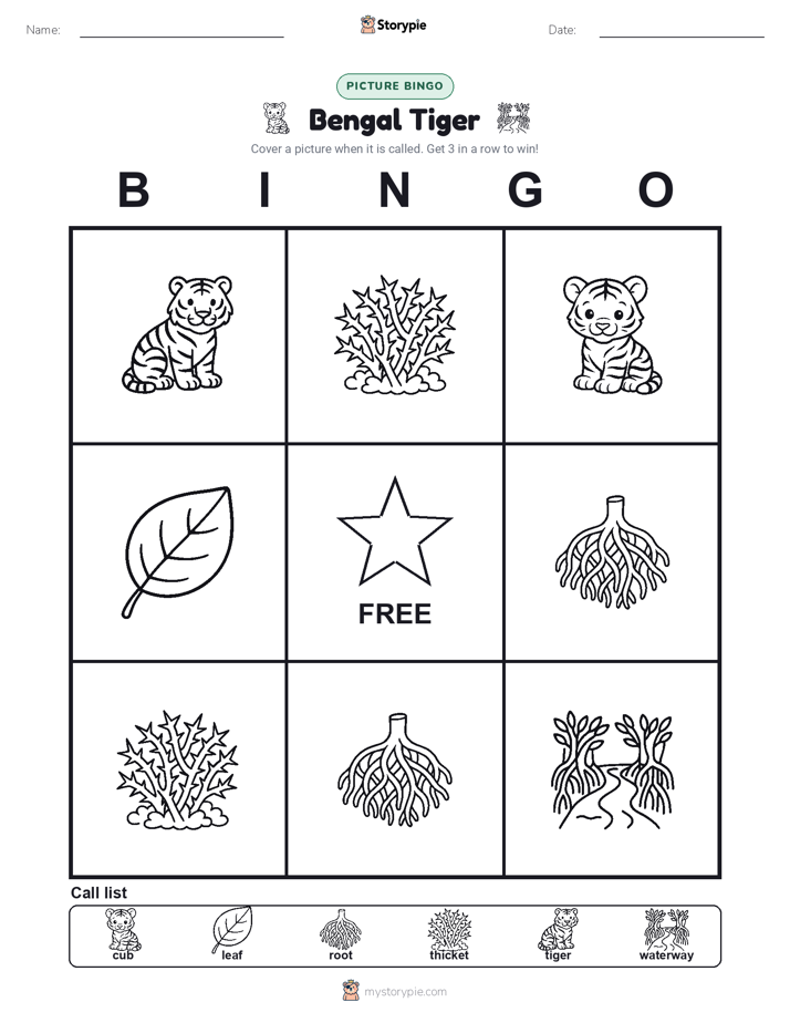 Picture Bingo