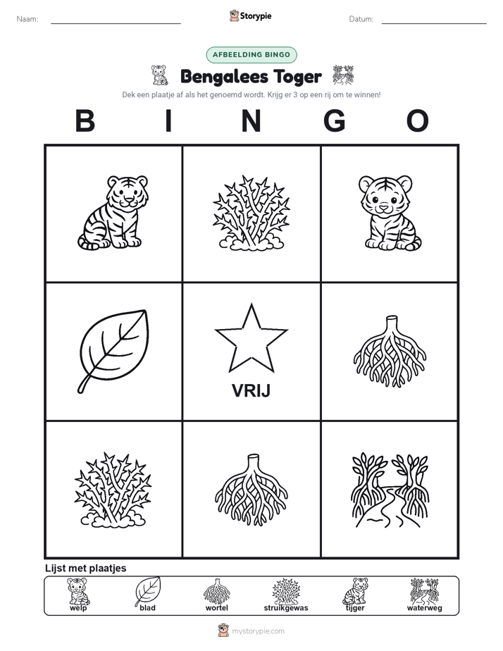 Afbeelding Bingo