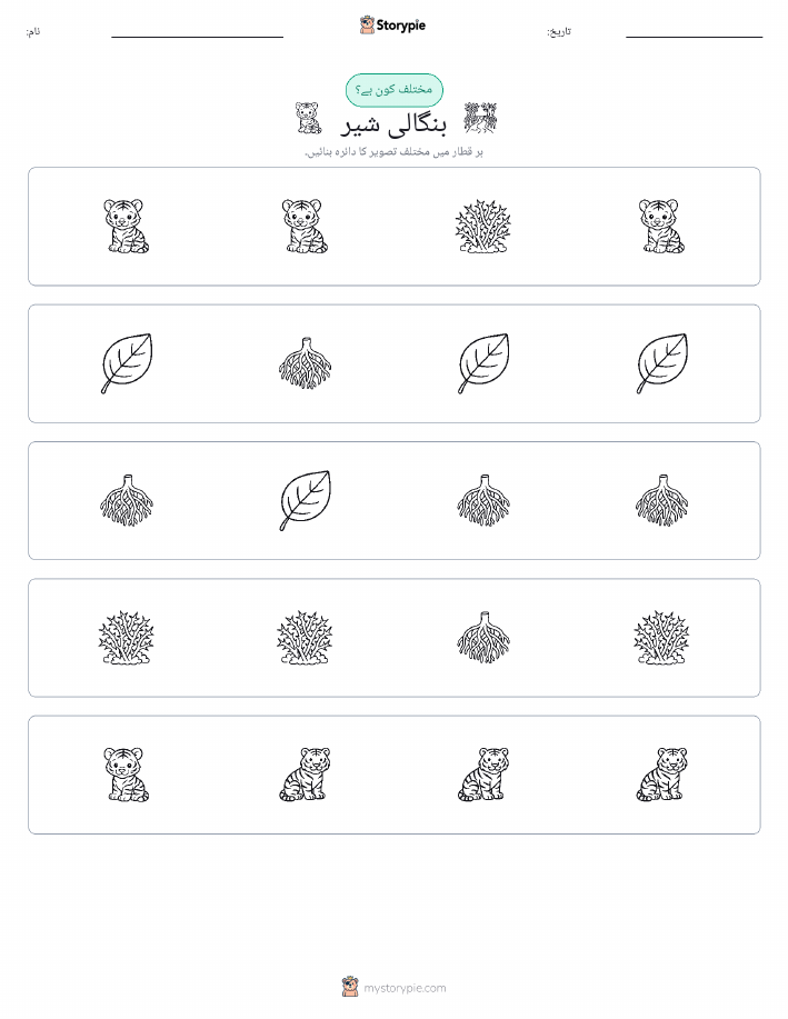 عجیب ایک