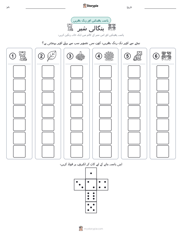 رول اور رنگ