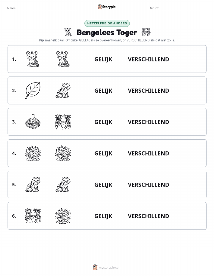 Zelfde of Verschillend