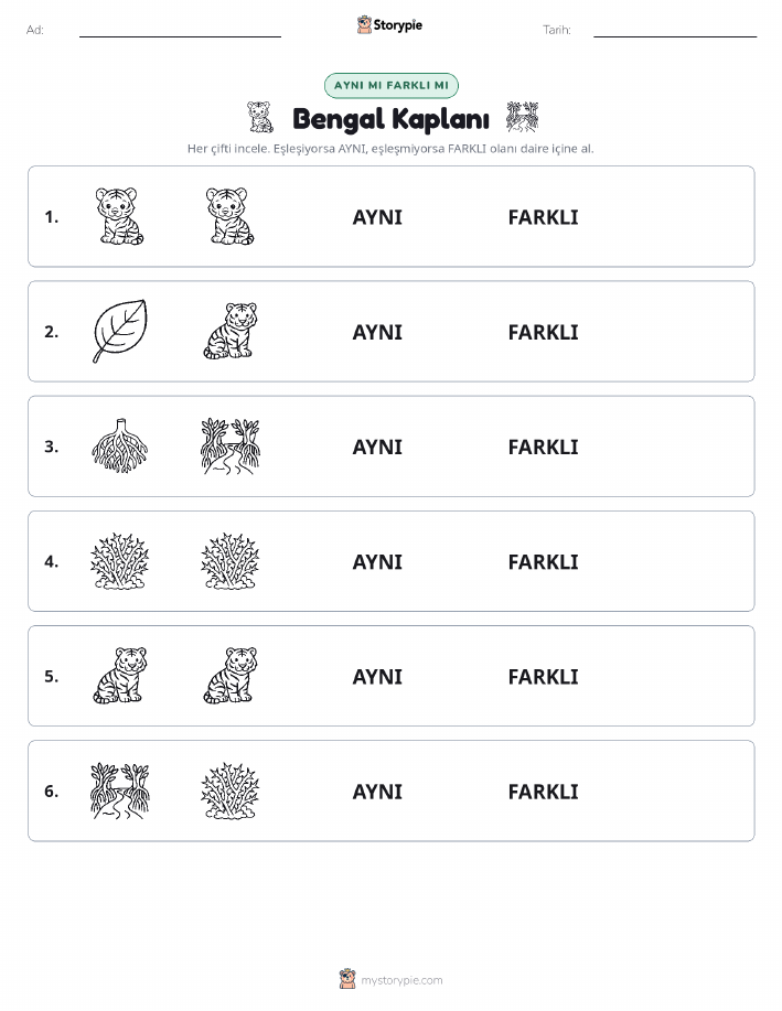 Aynı mı Farklı mı