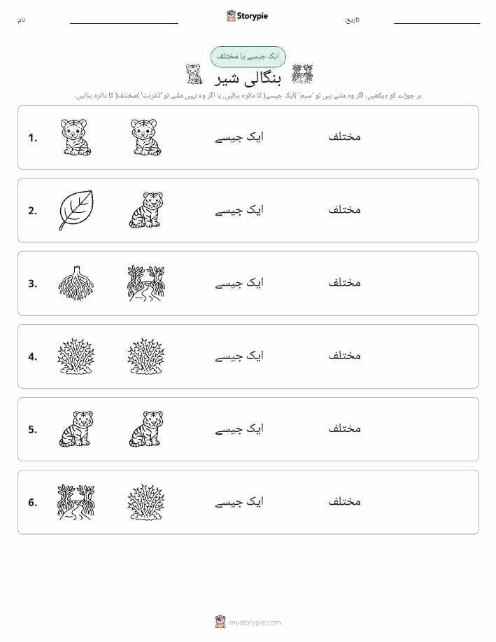 ایک جیسا یا مختلف