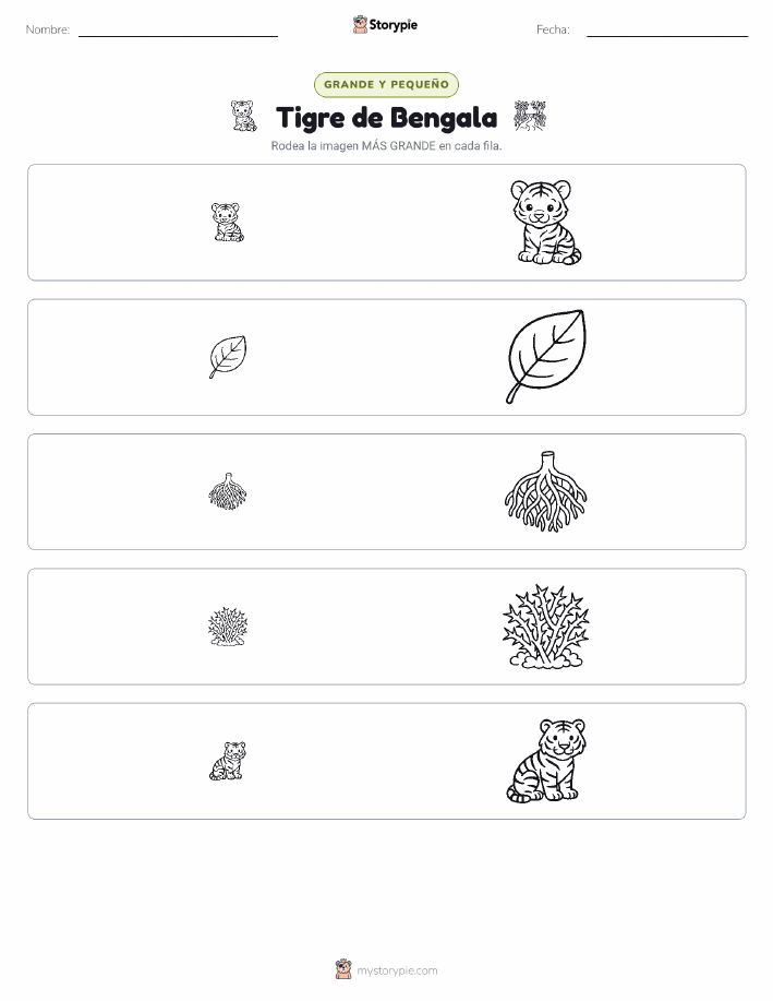 Clasificación
