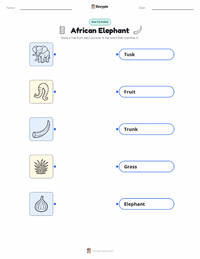 African Elephant printable worksheet for kids