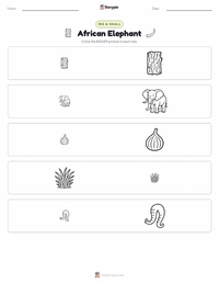 African Elephant printable worksheet preview