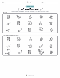 African Elephant printable worksheet preview