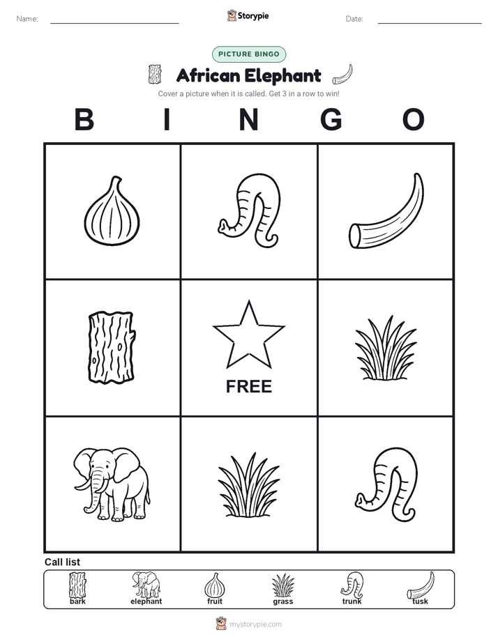 Picture Bingo