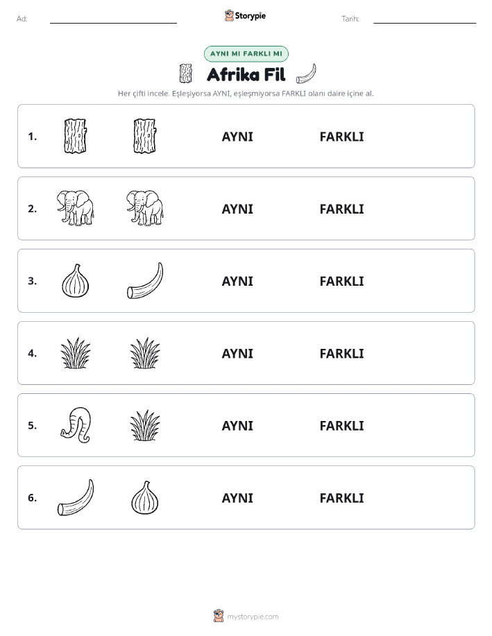 Aynı mı Farklı mı