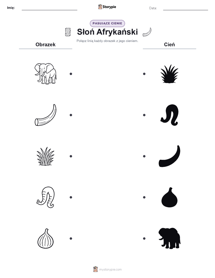 Dopasowanie cieni
