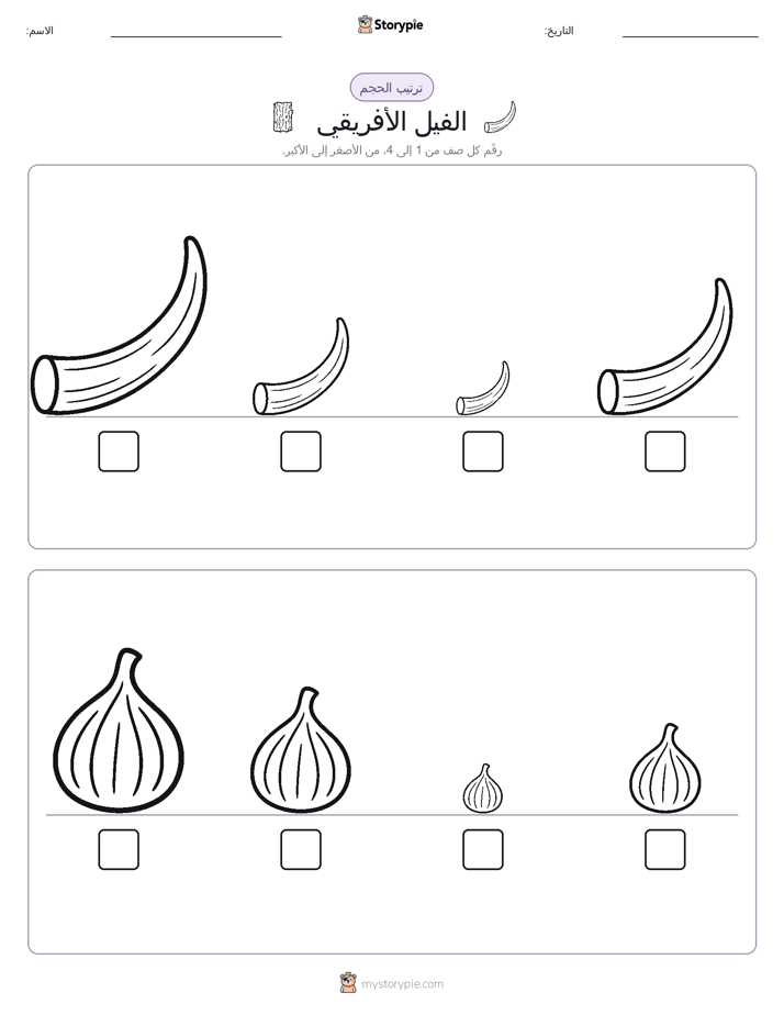 ترتيب الحجم