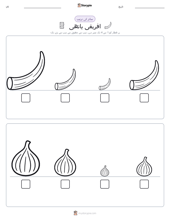 سائز کی ترتیب