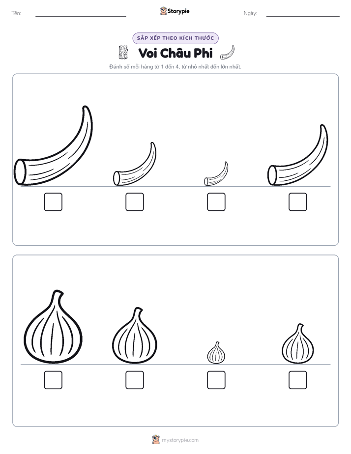 Thứ Tự Kích Thước