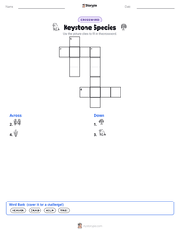 Keystone Species printable worksheet preview