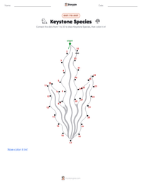 Keystone Species printable worksheet preview