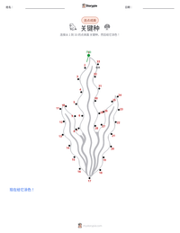关键种 可打印工作表预览
