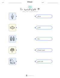 معاينة ورقة العمل القابلة للطباعة الأنواع الأساسية