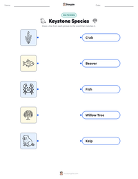 Keystone Species printable worksheet preview