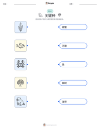 关键种 可打印工作表预览