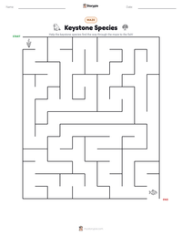 Keystone Species printable worksheet preview