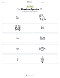 Keystone Species printable worksheet preview