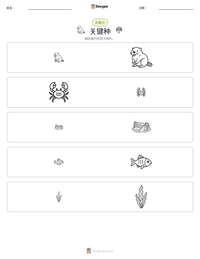 关键种 可打印工作表预览