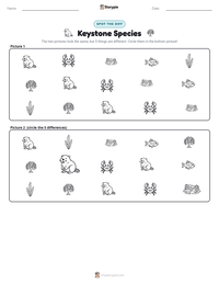 Keystone Species printable worksheet preview