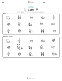 关键种 可打印工作表预览