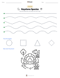 Keystone Species printable worksheet preview