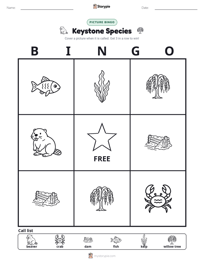 Picture Bingo