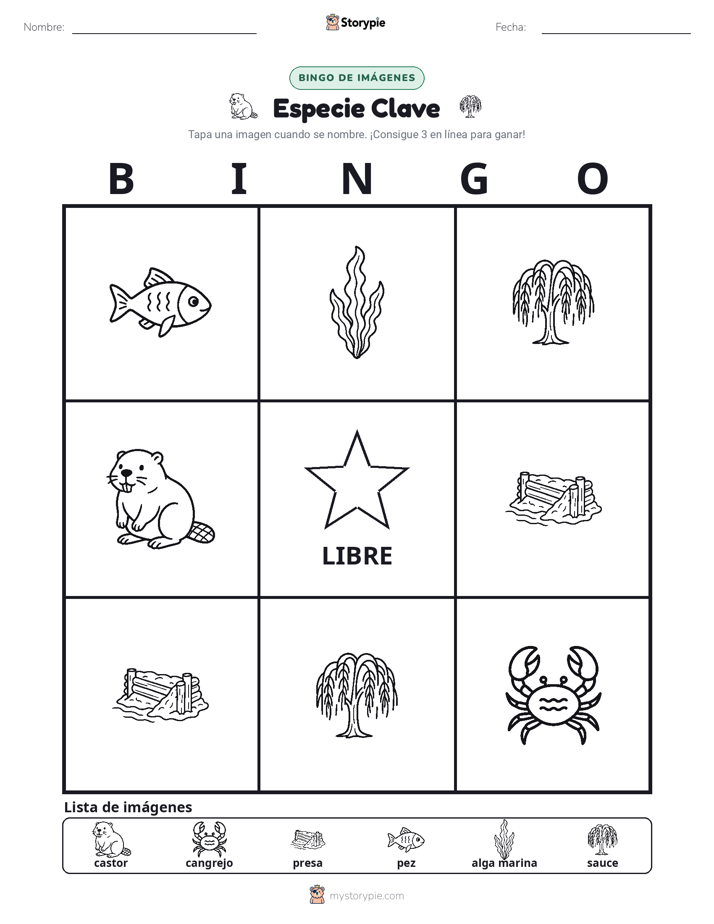 Bingo de Imágenes