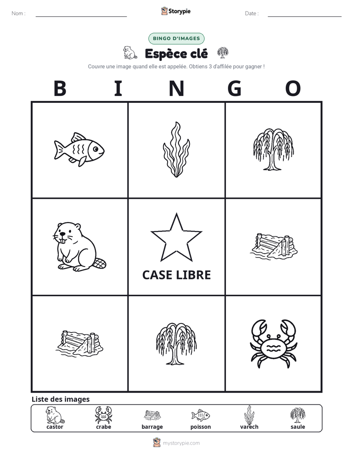 Bingo d'Images