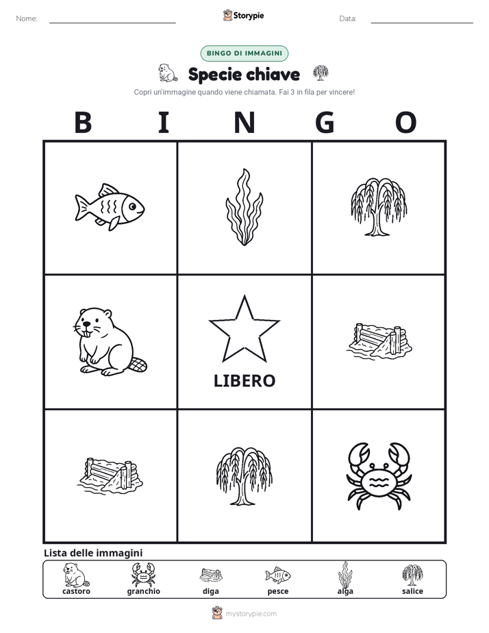Bingo delle Immagini