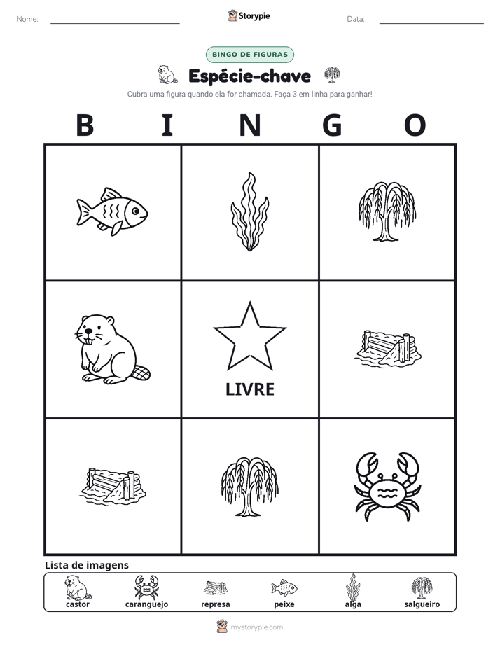 Bingo de Imagens