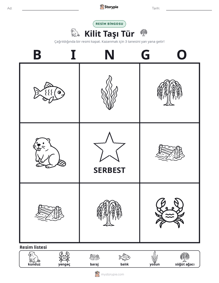 Resim Bingo